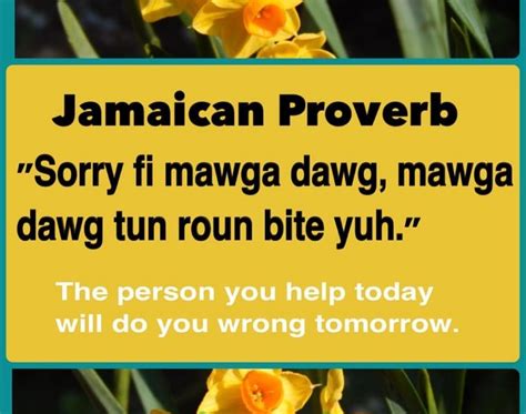 12 Jamaican Proverbs and Their Meanings – Epic Jamaica