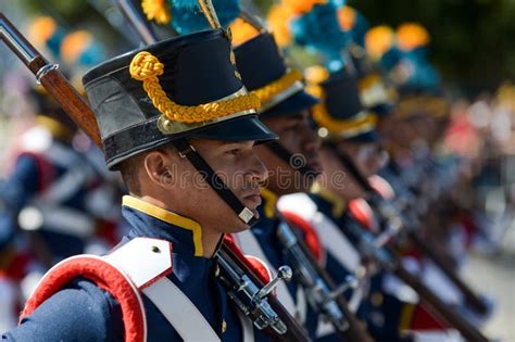 Military Civic Parade Celebrating the Independence of Brazil Editorial Stock Image - Image of ...