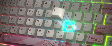 Amazon Mosptnspg TKL Wired Mechanical Keyboard RGB Backlit Gasket Mount Key Hot