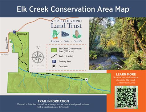 Elk Creek Conservation Area North Olympic Land Trust