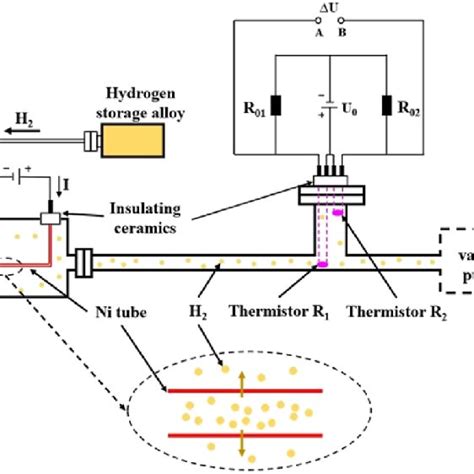 Schematic Diagram Of The H 2 Flux Measurement Experimental Device