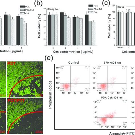 A Schematic View Of Hepg Tumor Bearing Nude Mice With Intratumoral