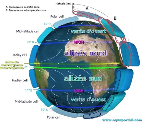 Alizés définition et explications