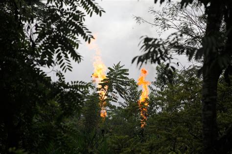 'Historic and wonderful': Ecuadorians reject oil drilling in precious