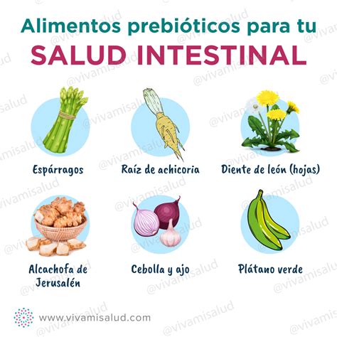 Prebi Ticos Para Que Sirven Y D Nde Encontrarlos Viva Mi Salud