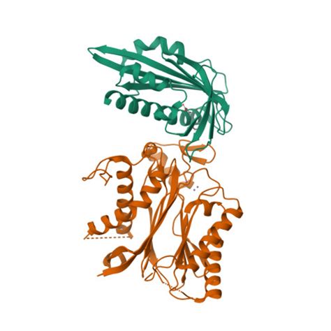 Rcsb Pdb Qn Crystal Structure Of The Pyr Abscisic Acid Receptor