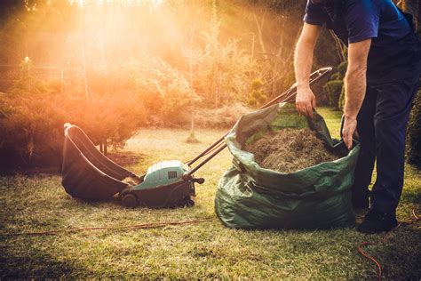 When to Dethatch Lawn - 7 Vital Tips to Dethatching! - Cresco Spreaders