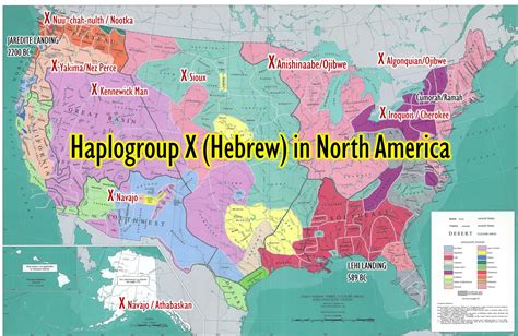 mtDNA Haplogroup X- Found in Navajo, Sioux, Nez Perce and Yakima ...