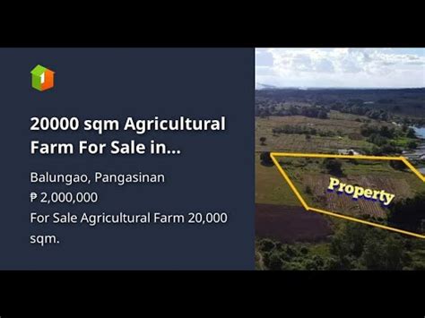 Sqm Agricultural Farm For Sale In Balungao Pangasinan Youtube