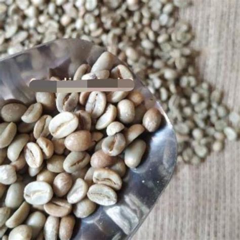 Jual Limited STOCK GREEN BEAN RED CHERRY JAVA ARABICA ARJUNA