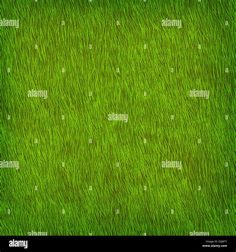 Green grass texture Stock Photo - Alamy