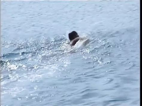 Ein Sommer Im Zeichen Von Pussy Episode Free Porn XHamster