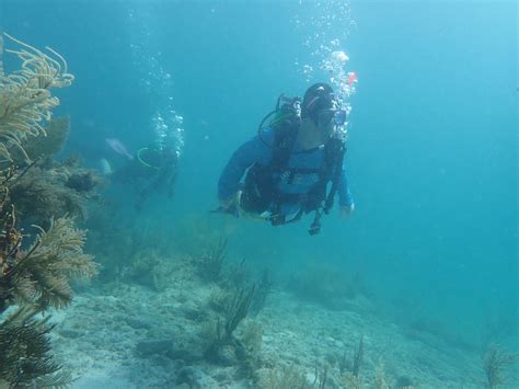 Chris Dive Key Largo Olympus Digital Camera Flickr