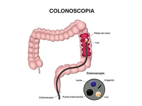 Actualizar más de 78 lavarse los dientes para dibujar muy caliente