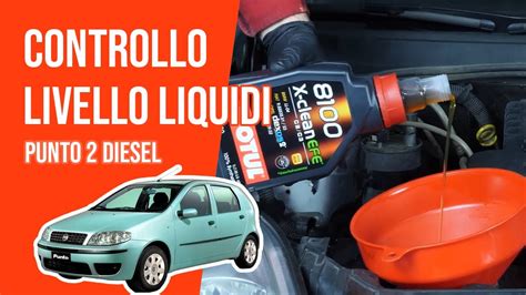 Controllo E Rabbocco Livello Liquidi Punto Multijet Youtube