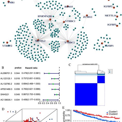 Generation Of Six M Arelated Prognostic Lncrnas A The Coexpression