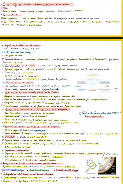 Resumen Del Cap 51 Guyton Res Academy