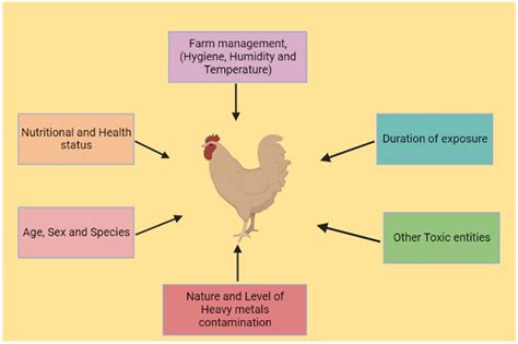 Toxicidad por metales pesados en aves de corral una revisión exhaustiva