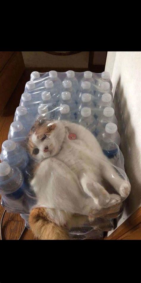 Super Tight Pussy R Tightpussy