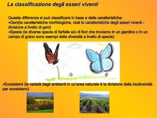 La Biodiversita PPT