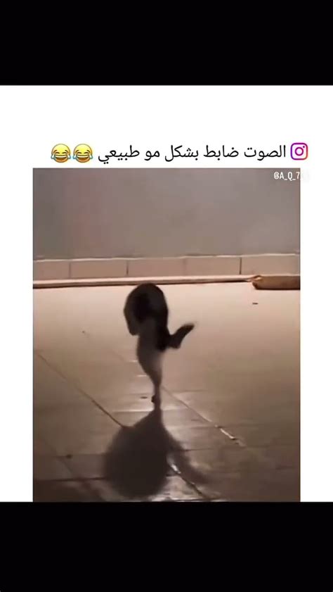 🤣 😂 ههههههههههه Youtube