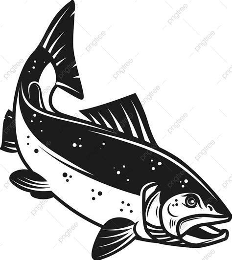 Кета рисунок - 67 фото