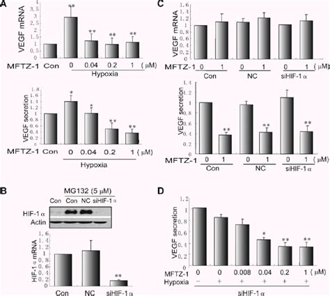 Mftz Decreases Vegf Secretion In Mda Mb Cells A Mftz