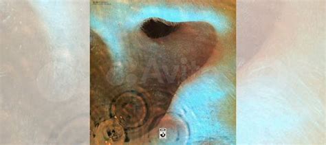 Pink Floyd Pink Floyd Meddle Lp Used