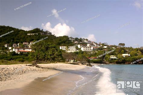 Grenada Grande Anse And Morne Rouge Morning View Of Grande Anse Beach