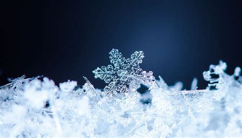 The Beauty of Snow Crystals - Life in the Finger Lakes