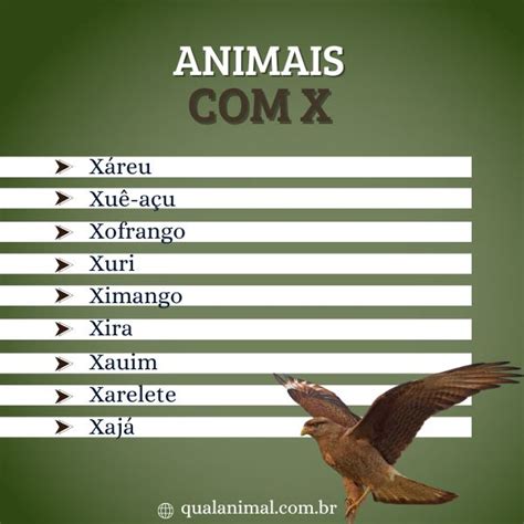 Animais Com X Em Portugues