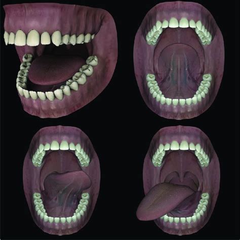 Mouth model rendered in various poses. | Download Scientific Diagram