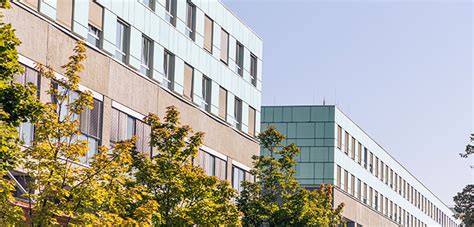 Medical Faculty University Hospital Magdeburg