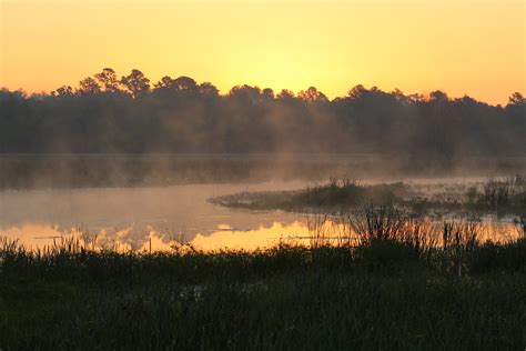 Residents react to alachua county public records transparency moves 7