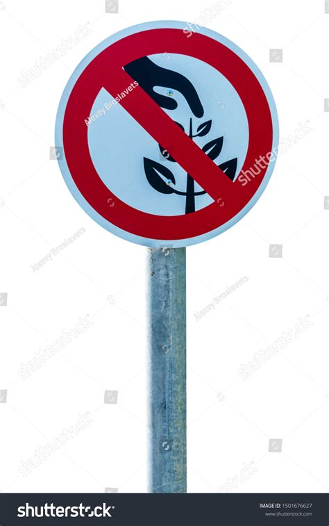 Do Not Pick Flower Sign Isolated Stock Photo 1501676627 Shutterstock