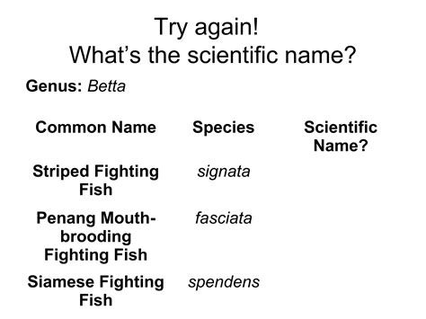 Classification and scientific names | PPT