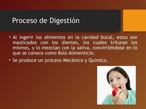 Proceso De La Digesti N Ppt Descarga Gratuita