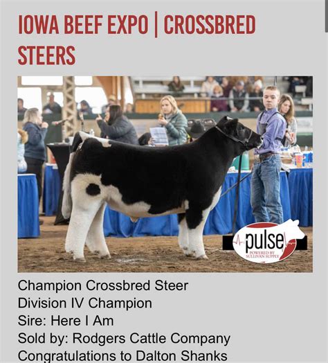 Rcc Blog All Champion Crossbred Steers At Iowa Beef Expo Sired By Rcc