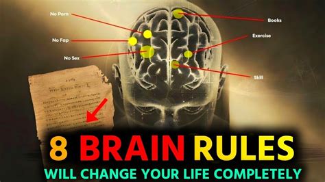 Brain Rules How To Increase Brain Power And Concentration For