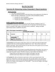 B Ex Cellular Respiration Lab Report Questions S Fall