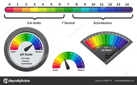 Ph Meter Scale Diagram Affordable Price