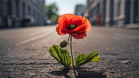AI generated beautiful lonely flower grows from asphalt 37977476 Stock