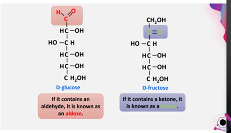 Biochemistry Final Exam Ch Carbohydrates And Glycobiology Flashcards