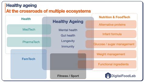 Healthy ageing: definition and trends - DigitalFoodLab