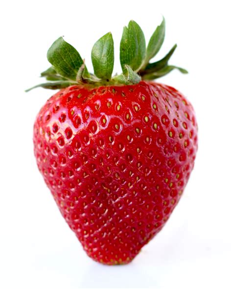 20 Strawberry Growing Tips! {How to Grow Perfect Strawberries} - The ...