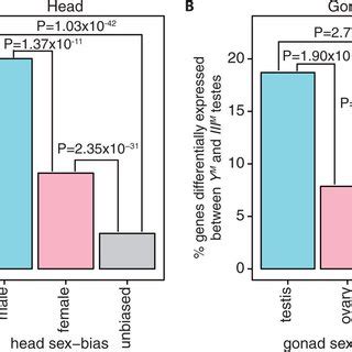 Sex Biased Expression Of Genes Differentially Expressed Between YM