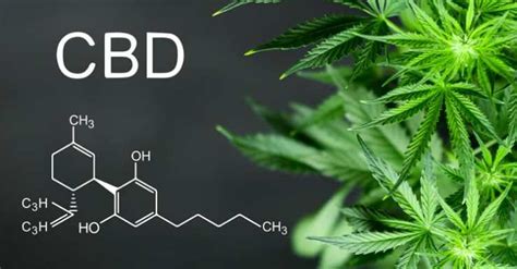 What is CBD and What are Its Health Benefits? | Mom Tried It