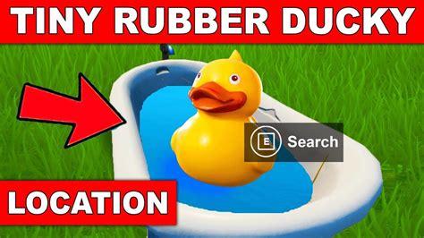 Search The Tiny Rubber Ducky At The Spot Hidden In The Summertime