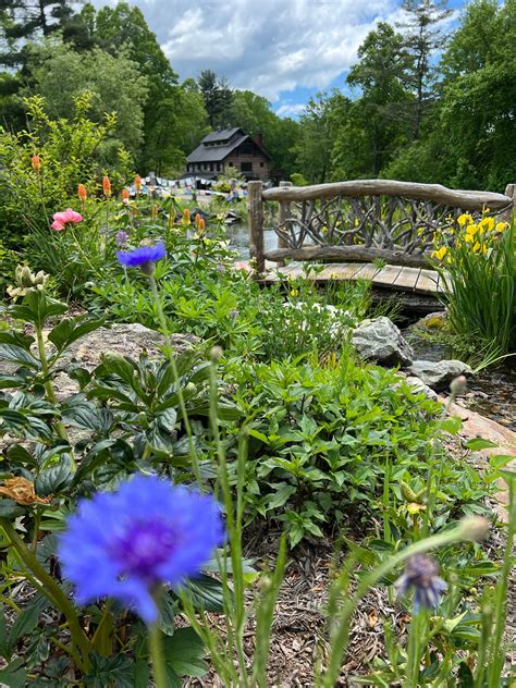 Village Farms | Asheville NC