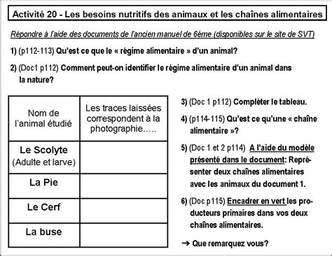 Quels sont les besoins nutritifs des animaux SVT collège Condorcet